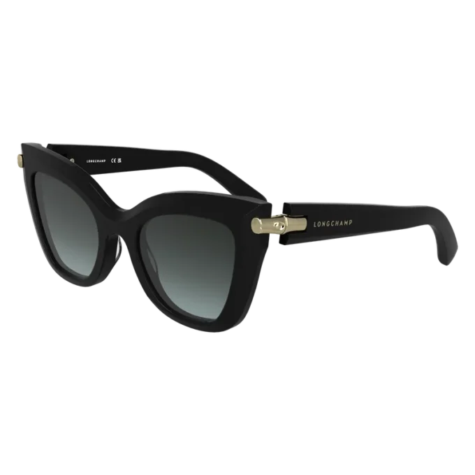 Schwarz – Sonnenbrille aus Acetat